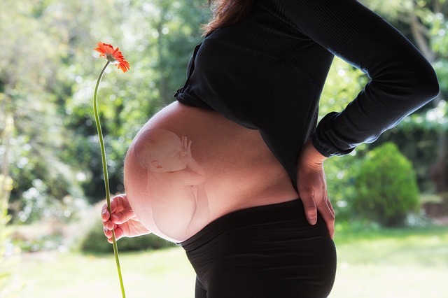 těhotná žena s dítětem.jpg